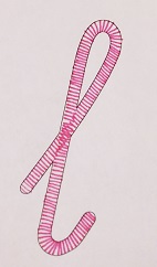 Gearceerde letter l
